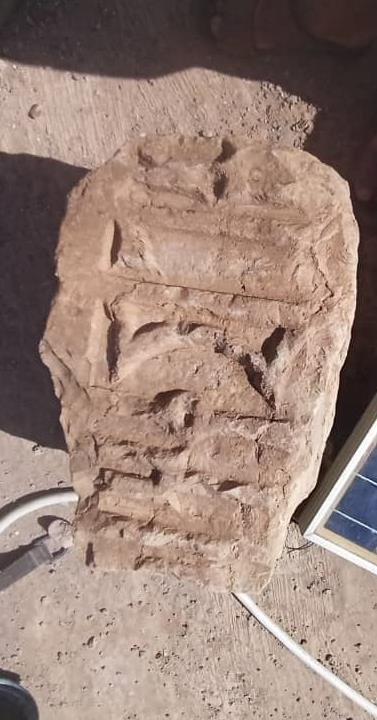 الذفيف 6/ AL-Dhafeef 6